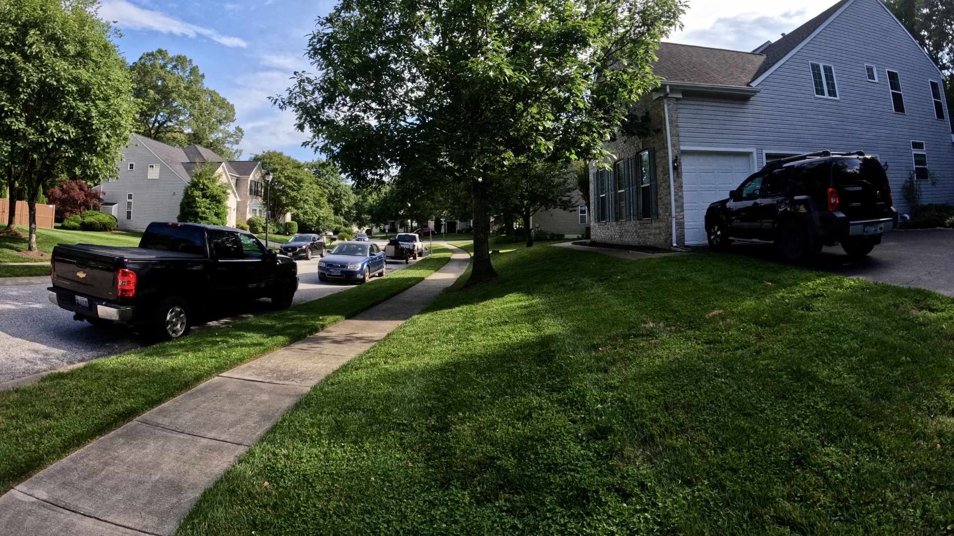 Suburban street with houses, cars, and greenery on a sunny day.