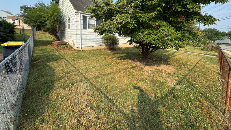 After photo