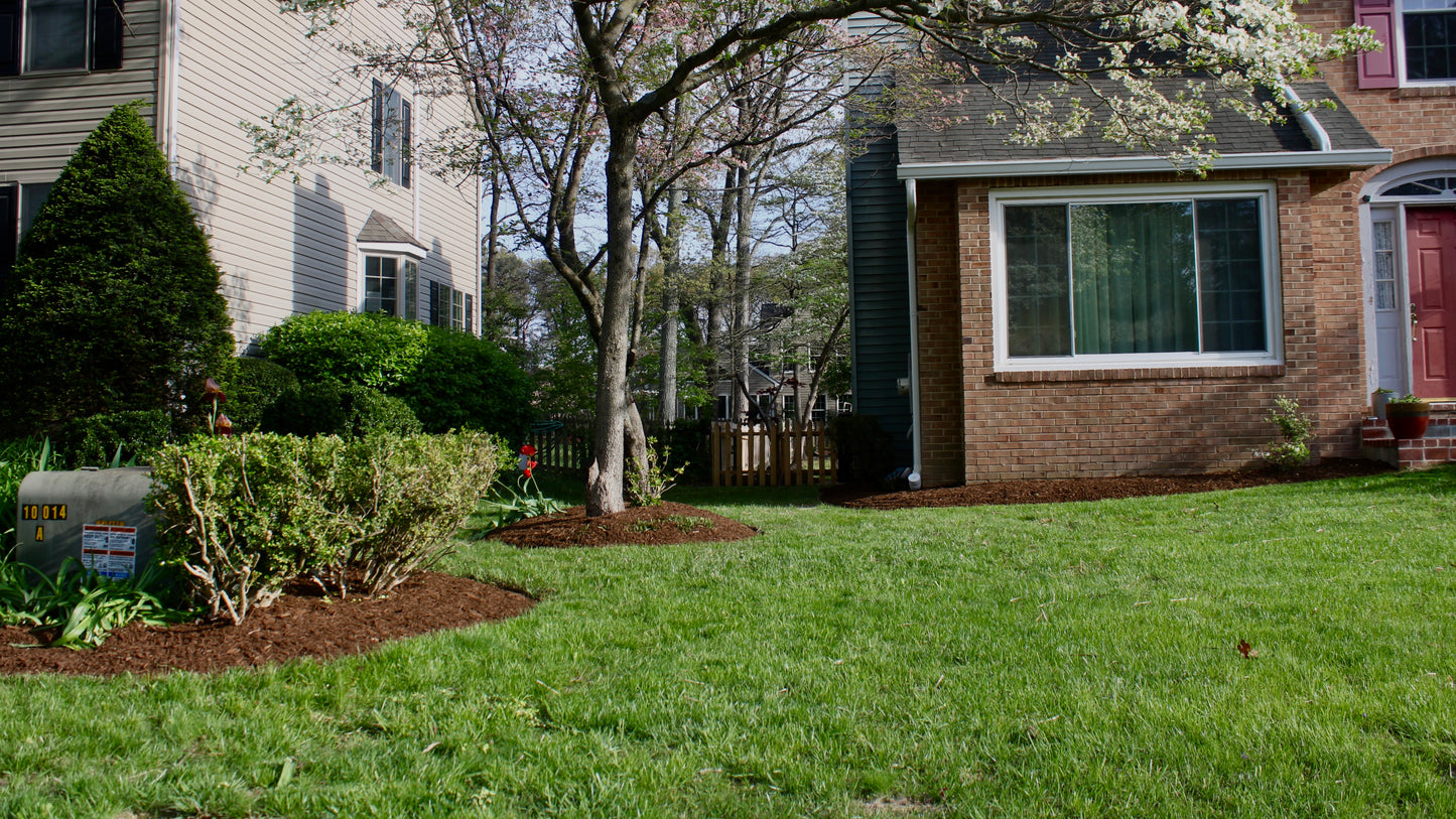 Lawn Maintenance