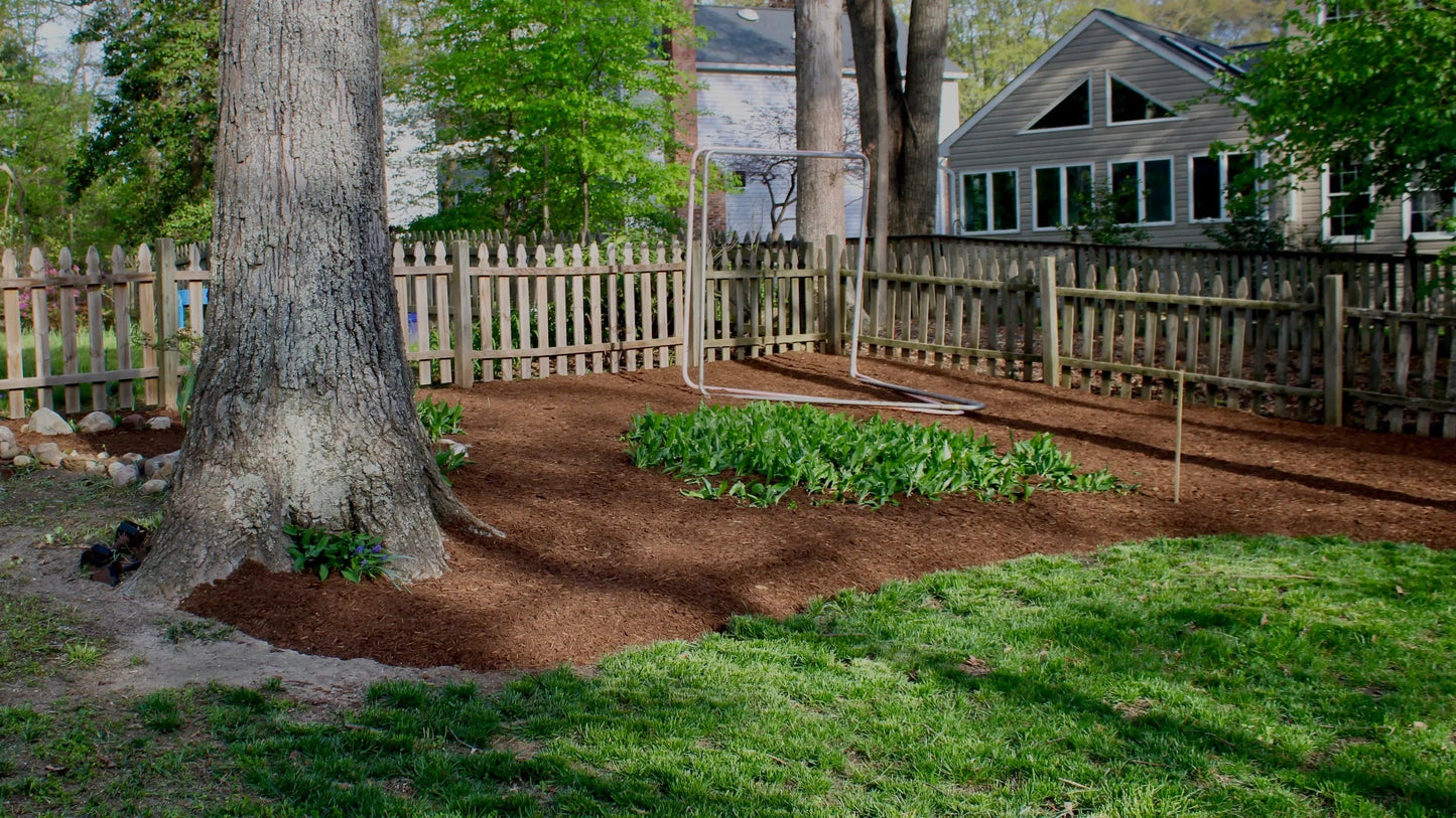 Lush green backyard with a tree and mulch area, perfect for outdoor living and relaxation