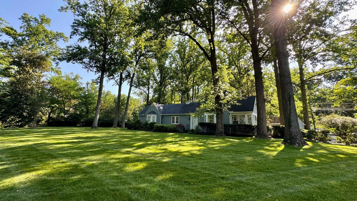 House surrounded by trees and greenery with a clear blue sky.