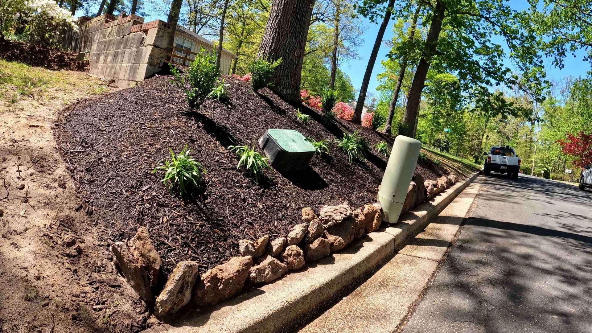  landscaped area with plants and mulch next to a road