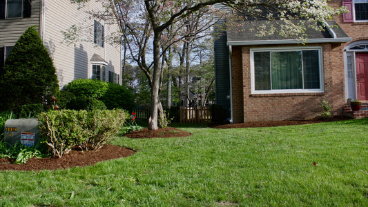 Lawn Maintenance