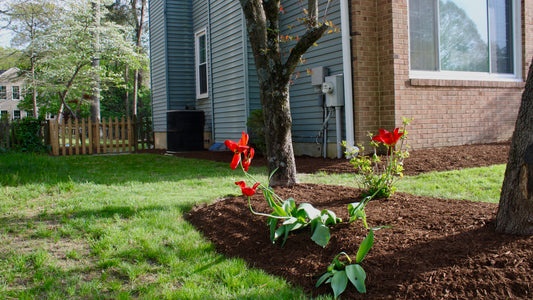Mulch