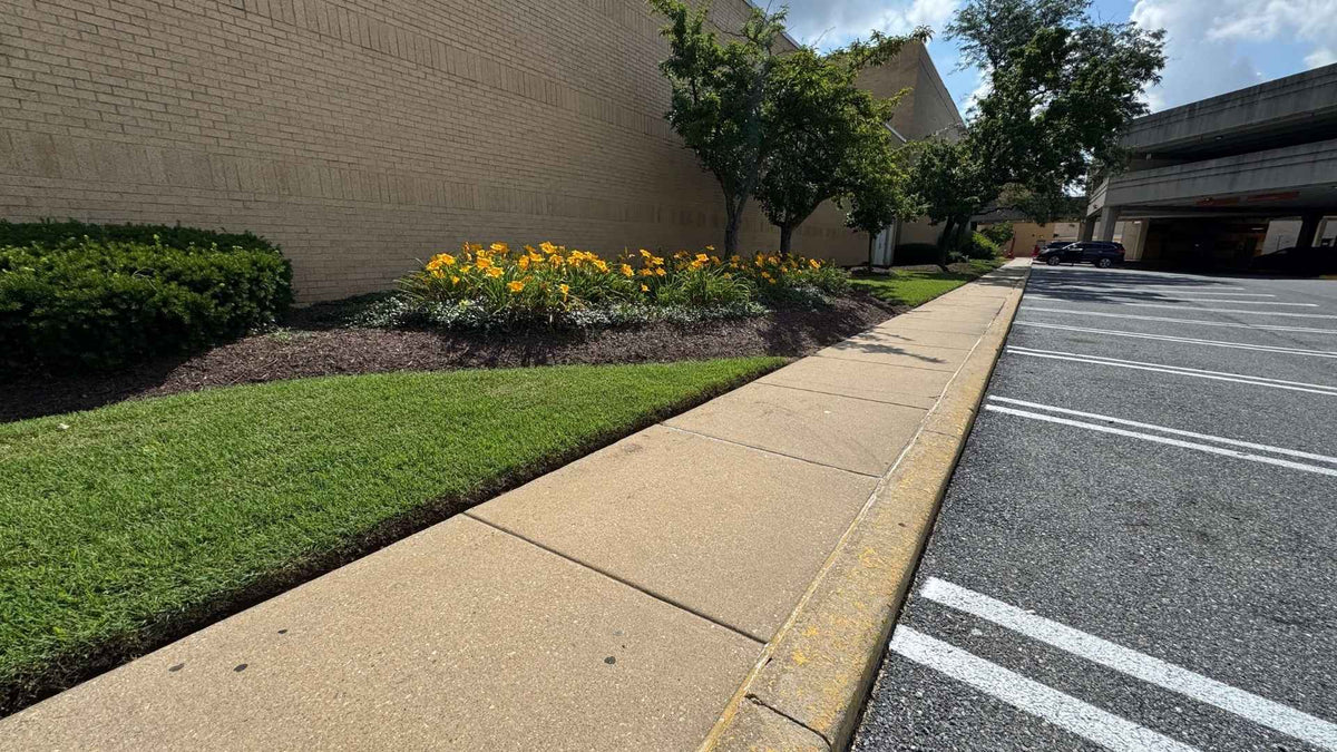 Macys Annapolis mall landscape. freshly mowed and edged.