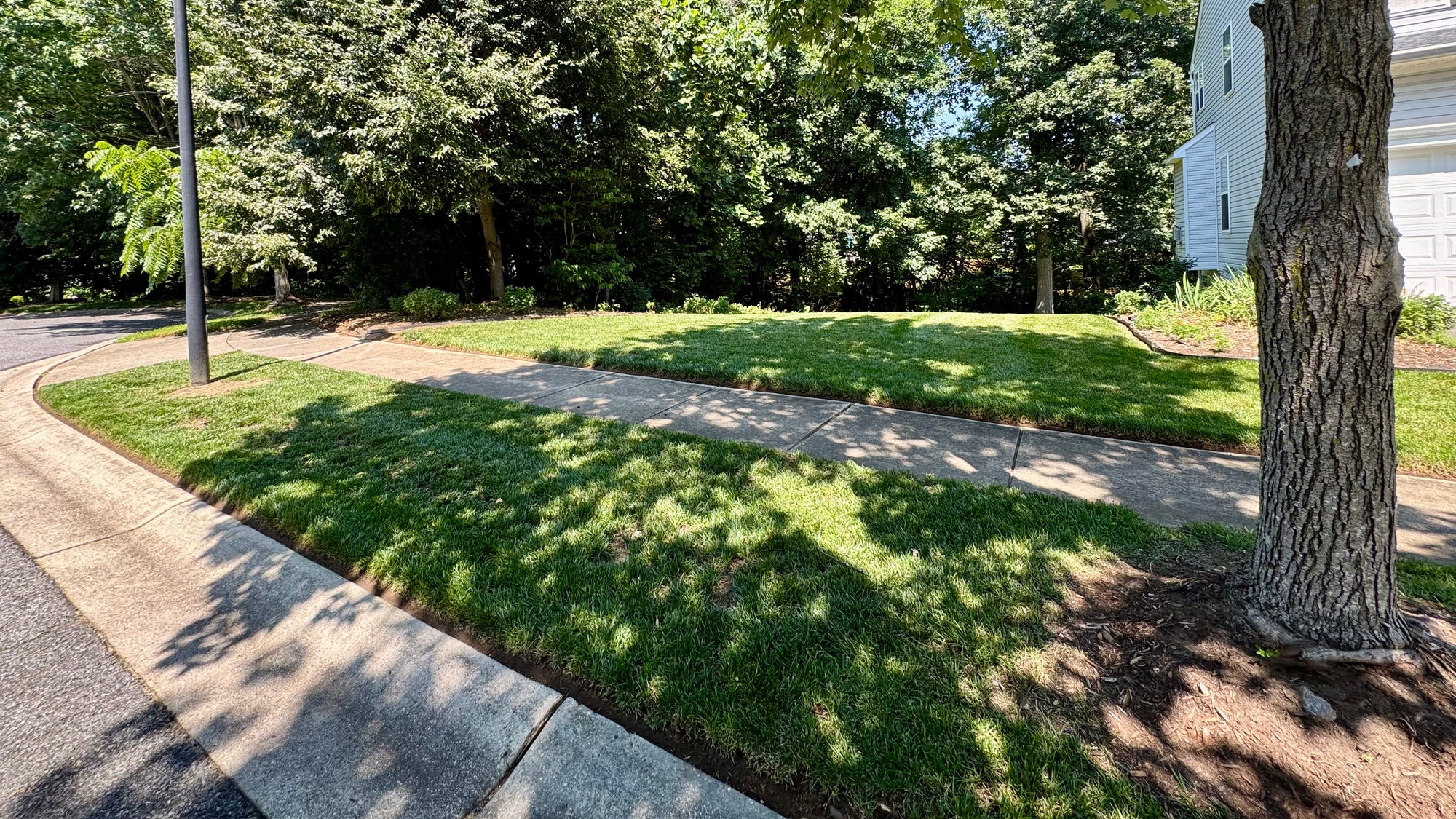 Manicured lawn in Northridge Way Severna Park MD done by Israels Landscaping