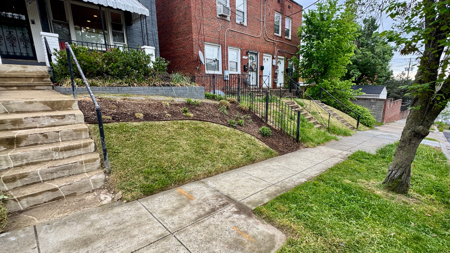 Washington DC residential row houses with brick facades, sloped front yard landscaping, and fresh mulch beds along a curved garden border beside a concrete sidewalk
