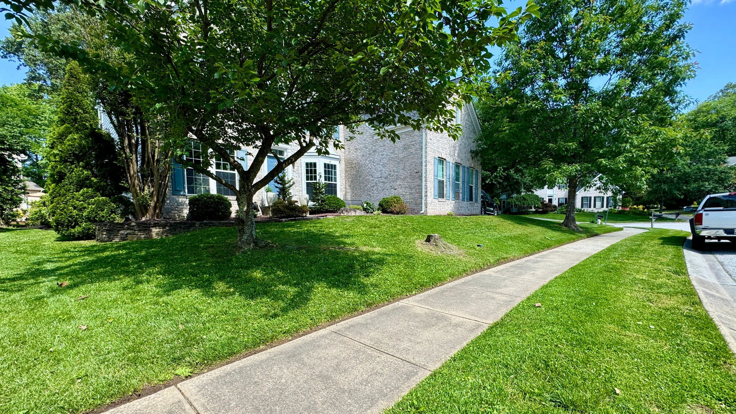 Well-maintained lawn showcasing expert lawn maintenance services Maryland with lush greenery and landscaped design