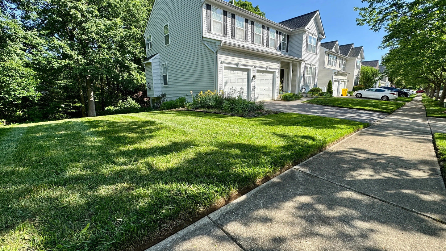 Well-maintained front lawn by Israels Landscaping showcasing lawn maintenance services Maryland