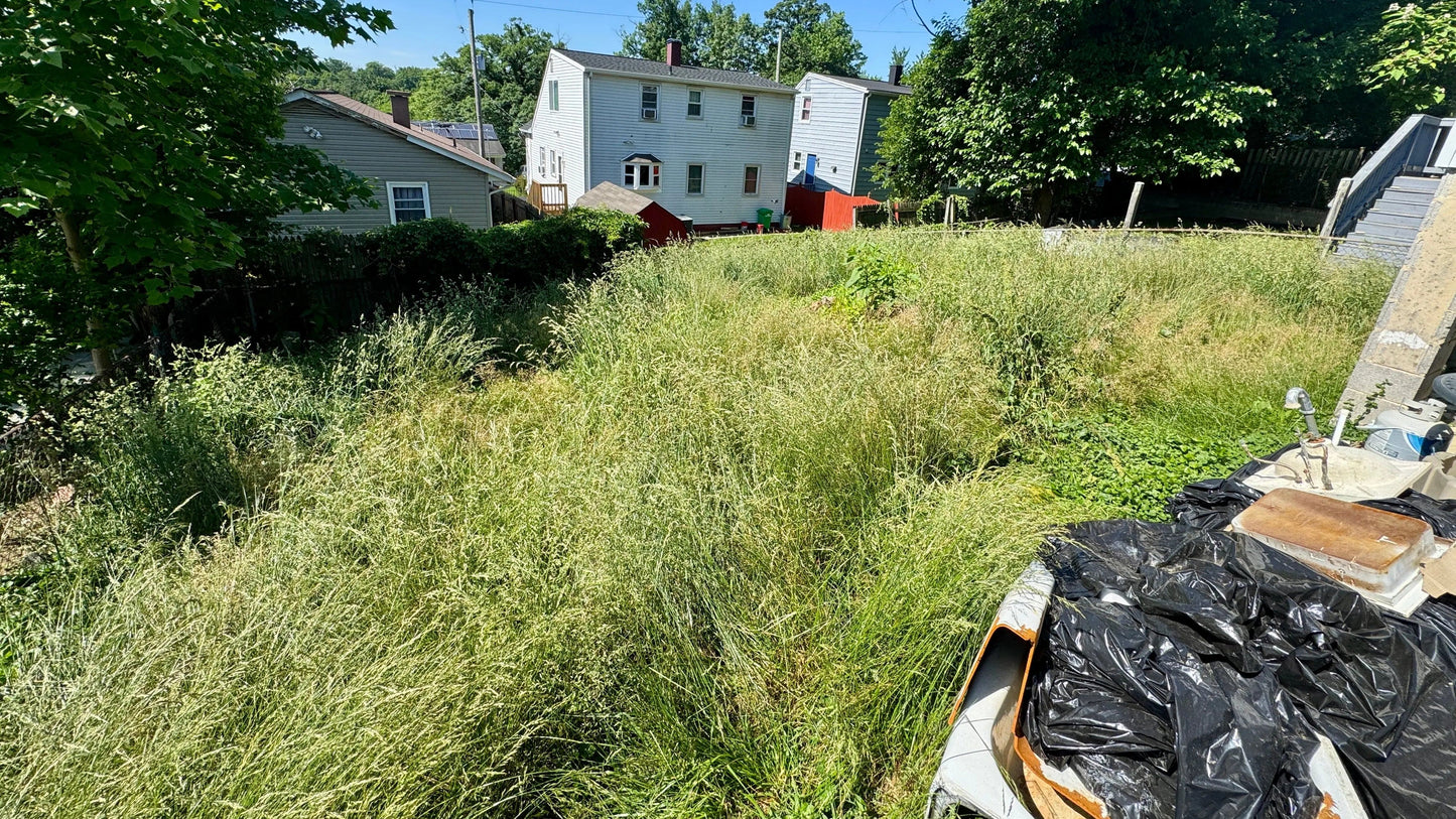 Overgrown backyard needing professional lawn maintenance services Maryland for a tidy outdoor space