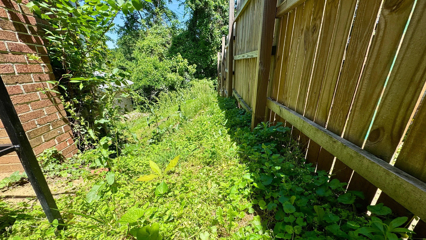 Overgrown garden area needing lawn maintenance services Maryland for a tidy landscape