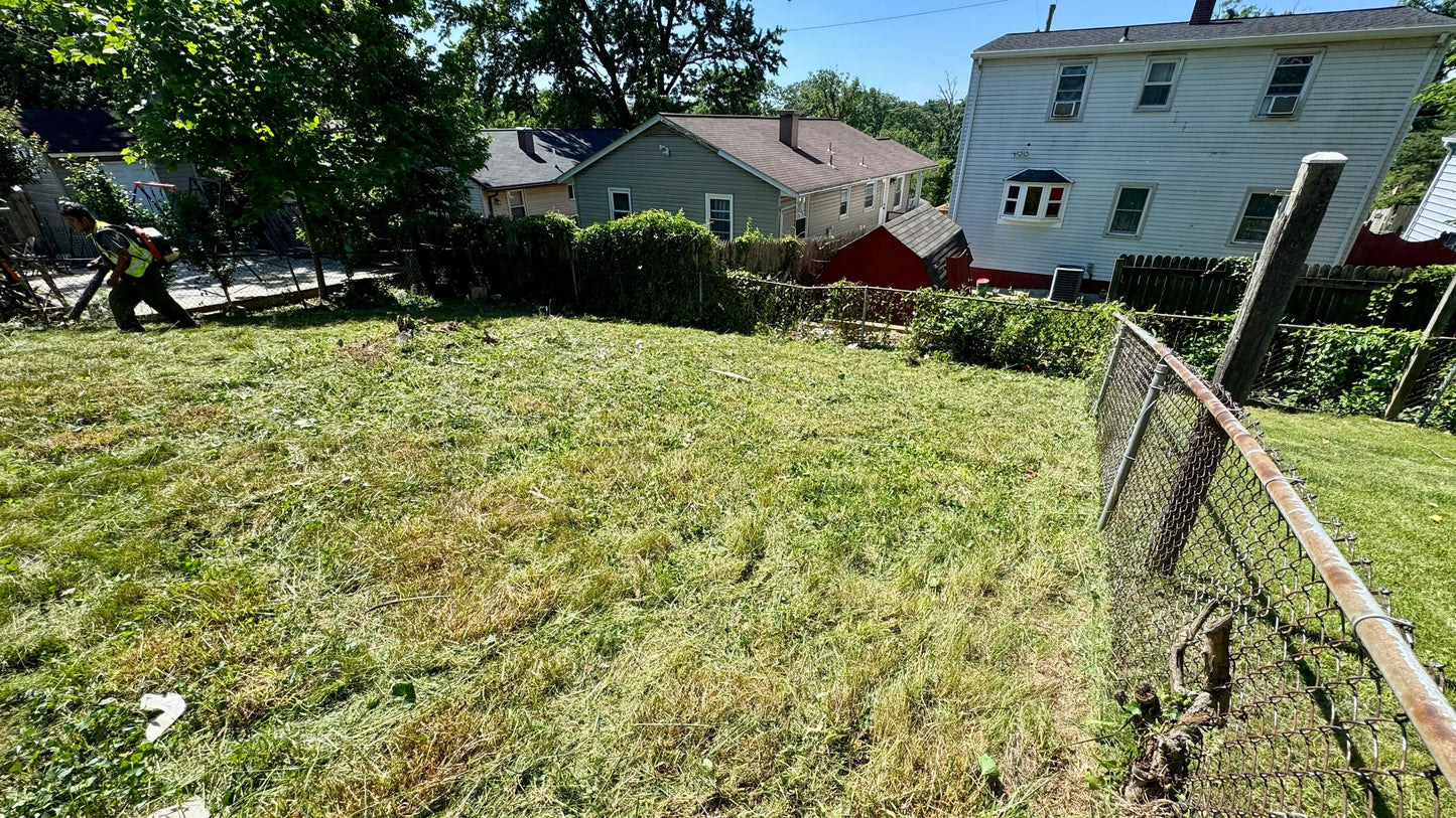 Professional lawn maintenance services Maryland improving grass health in a residential backyard